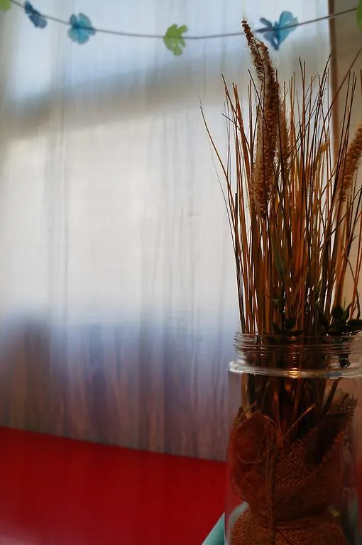 Locarno Hostel Toronto